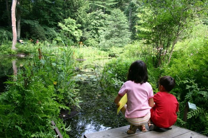 garden in the woods native plant trust boston kids